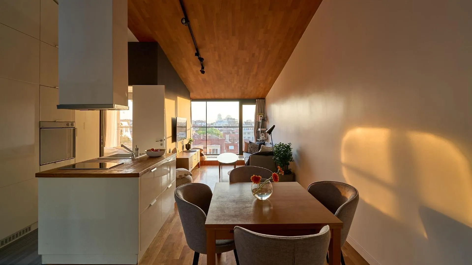 Apartment *New* Top View Loft 2 Bdrm Sofia